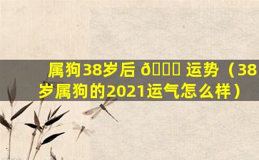 属狗38岁后 🕊 运势（38岁属狗的2021运气怎么样）